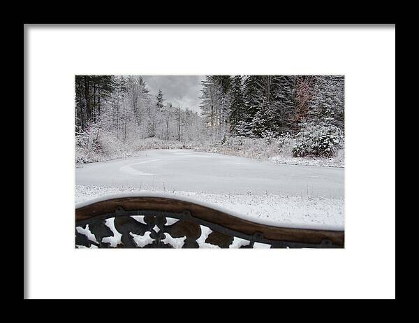 Winter Framed Print featuring the photograph Winter at the Pond by Moira Law