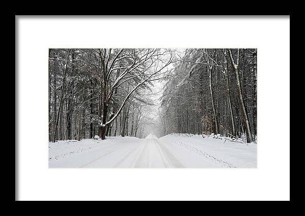 2020 Framed Print featuring the photograph Winter Colors by Mike Mcquade