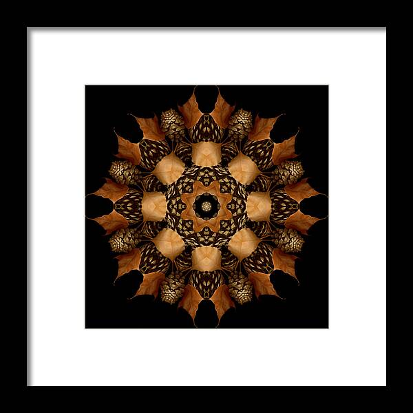Mandala Framed Print featuring the photograph Winter Day 2 by Marsha Tudor