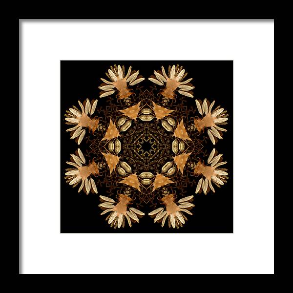 Mandala Framed Print featuring the photograph Winter Day 11 by Marsha Tudor