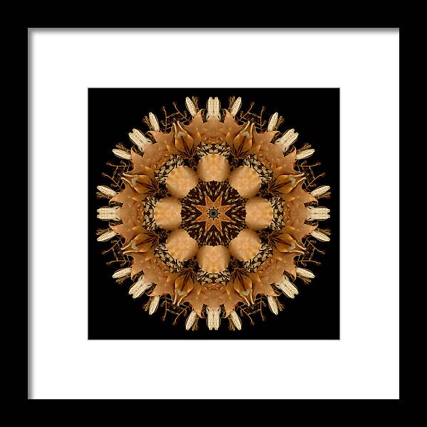 Mandala Framed Print featuring the photograph Winter Day 14 by Marsha Tudor