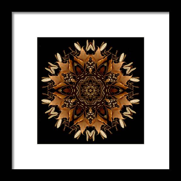 Mandala Framed Print featuring the photograph Winter Day 3 by Marsha Tudor