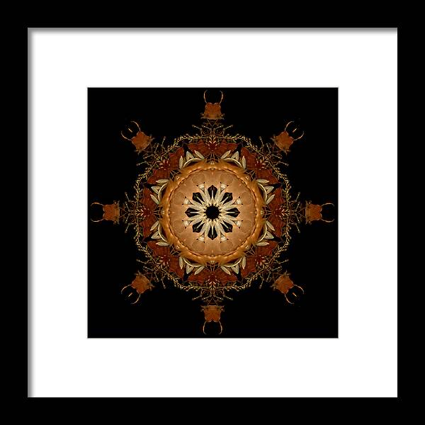 Mandala Framed Print featuring the photograph Winter Day 6 by Marsha Tudor