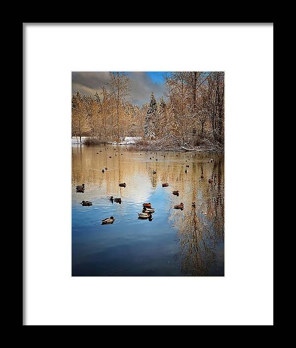 Winter Framed Print featuring the photograph Winter Duck Pond by Jerry Abbott
