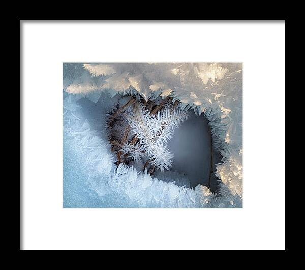 Winter Framed Print featuring the photograph Winter Eye Pattern by Karen Rispin
