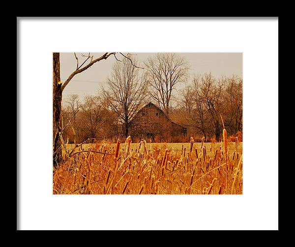 - Winter Farm - New Albany Oh Framed Print featuring the photograph - Winter Farm - New Albany OH by THERESA Nye