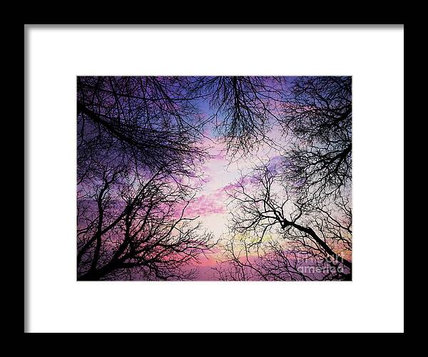 Halloween Framed Print featuring the photograph Winter forest at sunset by Delphimages Photo Creations