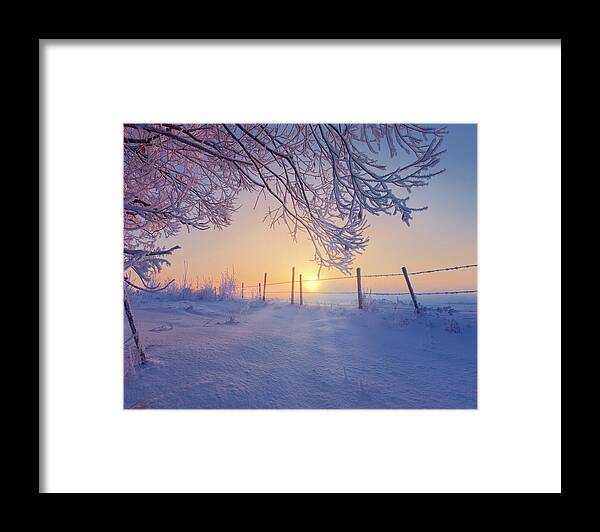 Winter Framed Print featuring the photograph Winter Fresh by Dan Jurak