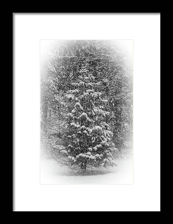 Black And White Framed Print featuring the photograph Winter Greeting Card by Scott Burd