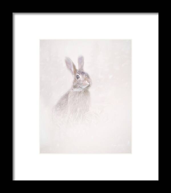 Hare Framed Print featuring the photograph Winter Hare by Marjorie Whitley