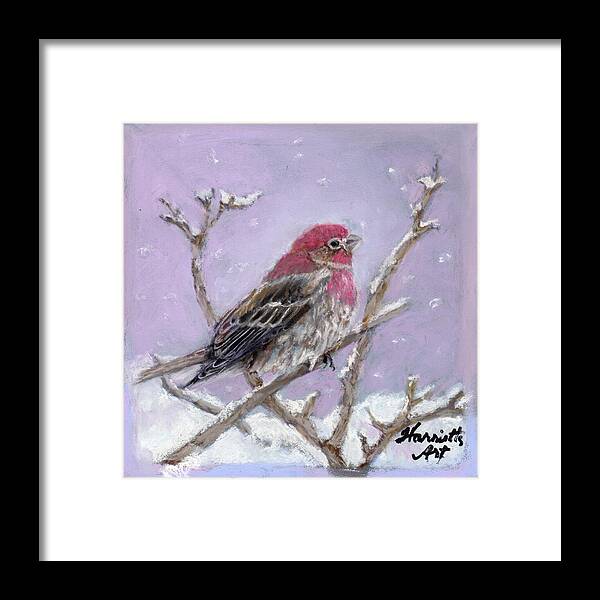 One In A Series Of Three Framed Print featuring the painting Winter House Finch by Harriett Masterson