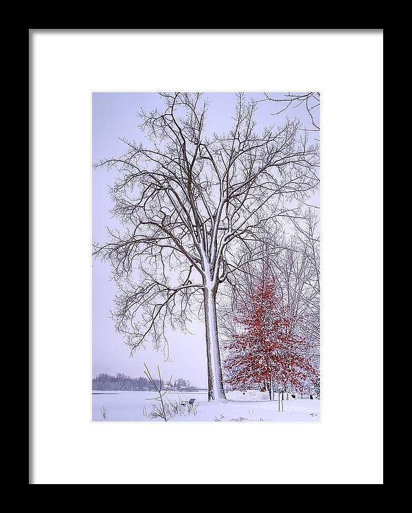 White Framed Print featuring the photograph Winter, i don't wanna a lose red by Carl Marceau