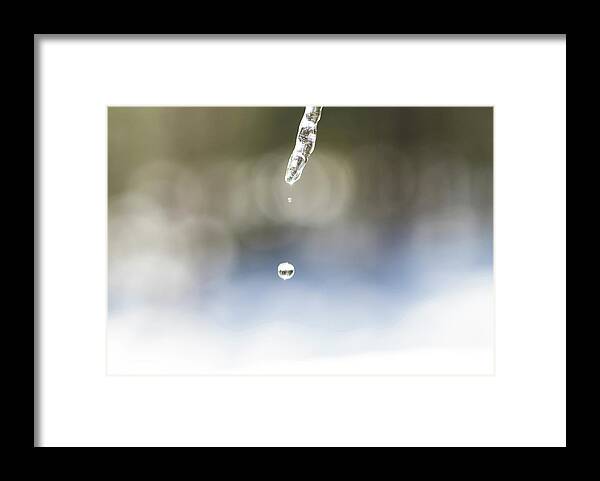 Water Framed Print featuring the photograph Winter Icicle Macro by Amelia Pearn
