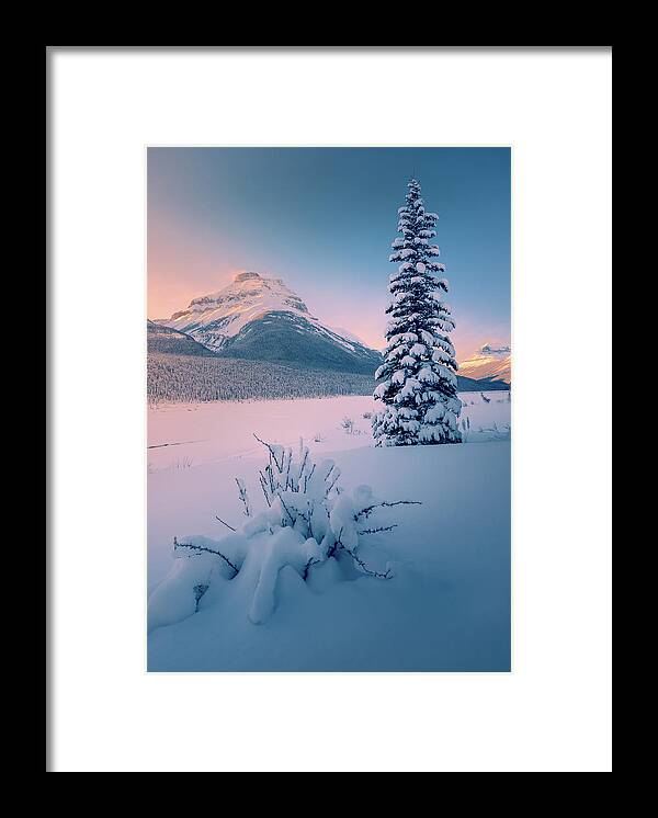 Winter Framed Print featuring the photograph Winter in Mountains by Henry w Liu
