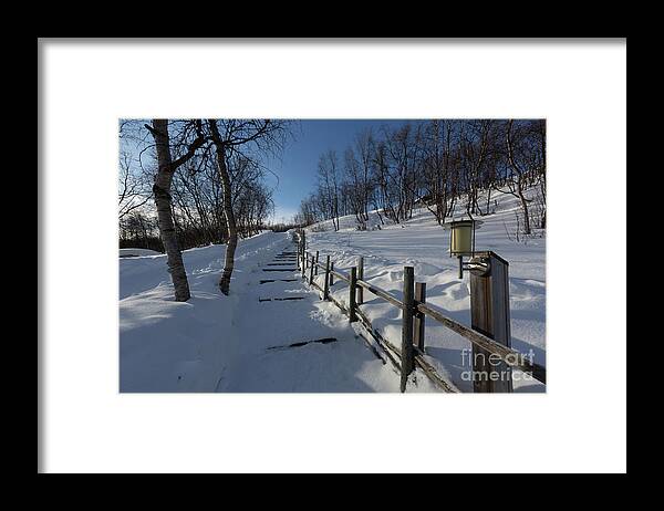 Snow Framed Print featuring the photograph Winter in Norvegian Lapland by Eva Lechner