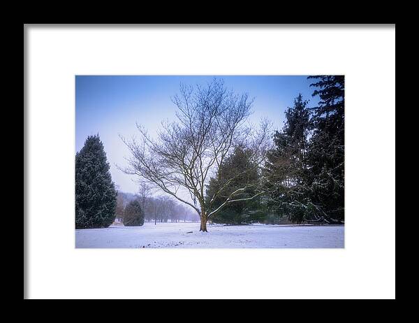Winter Framed Print featuring the photograph Winter Trees in Cedar Creek Park by Jason Fink