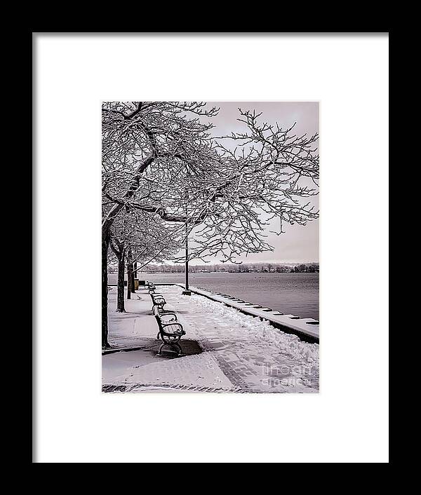 Trees Framed Print featuring the photograph Winter Waterfromt by William Norton