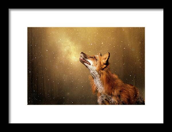 Fox Framed Print featuring the digital art Winter Wonder by Nicole Wilde