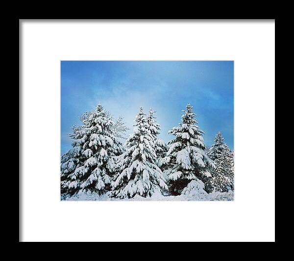 Winter Framed Print featuring the photograph Winter Wonderland by Sarah Lilja