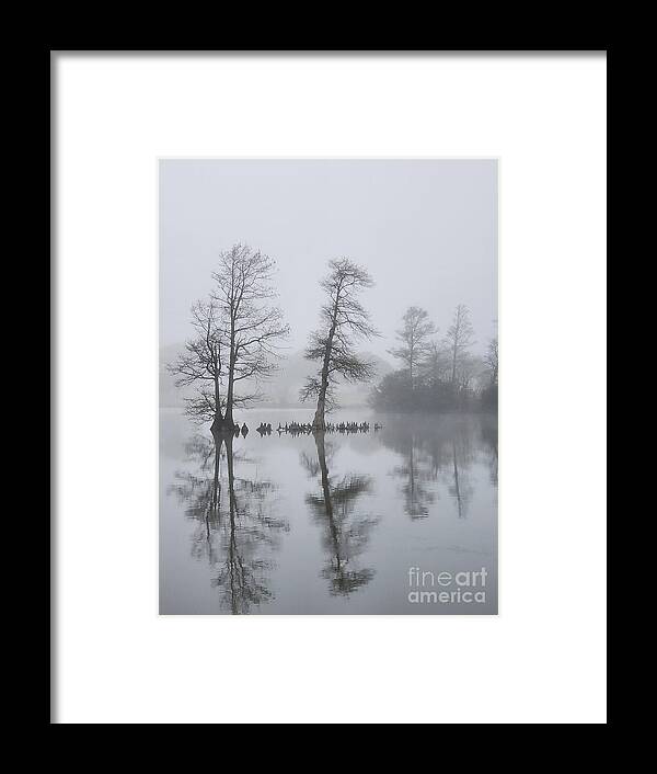 Little Creek Framed Print featuring the photograph Winters morn by Angela DeFrias