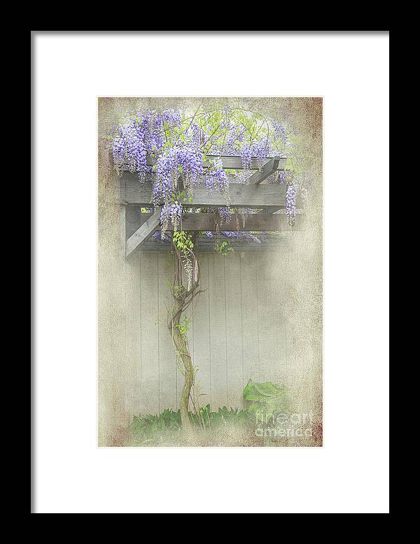 Flowers Framed Print featuring the photograph Wisteria Tree by Marilyn Cornwell
