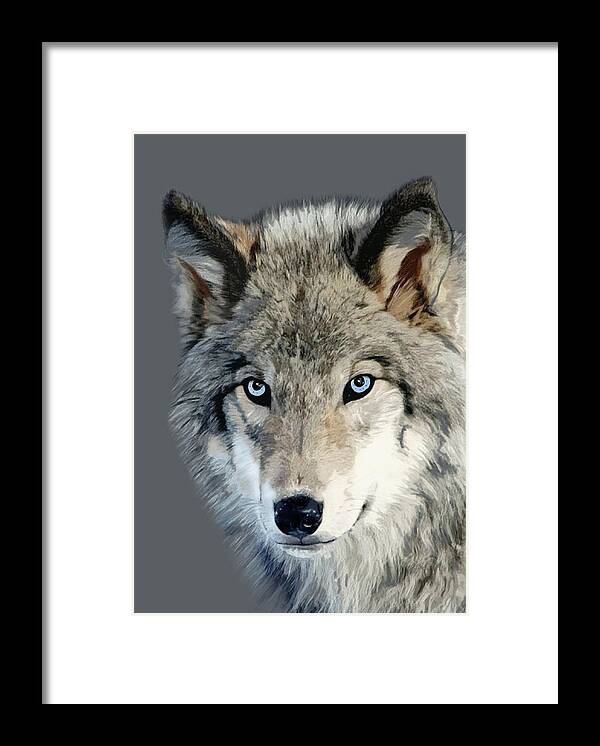 Nature Framed Print featuring the mixed media Wolf by Judy Link Cuddehe