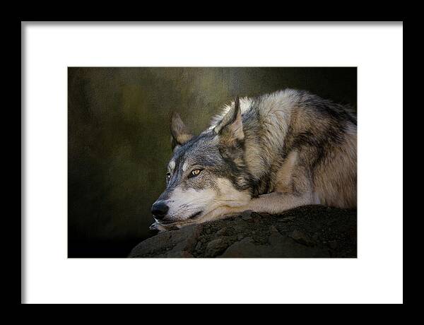 Wolf Framed Print featuring the digital art Wolf Watch by Nicole Wilde