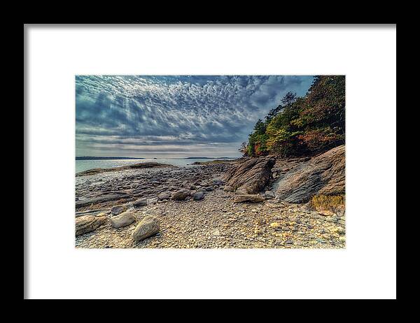 Freeport Maine Framed Print featuring the photograph Wolfe Neck Woods by Penny Polakoff