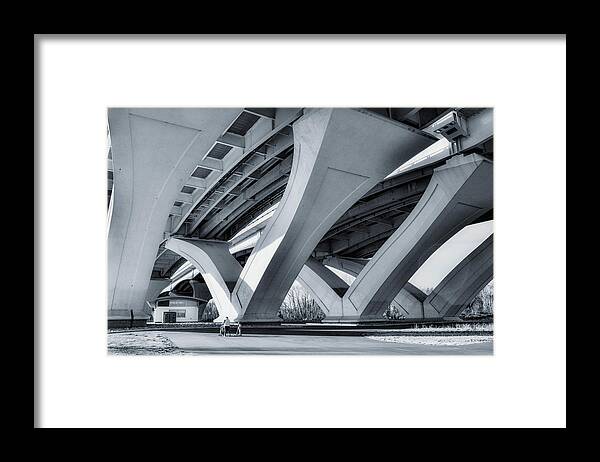 Bridge Framed Print featuring the photograph Wonder of the Turtle by Addison Likins
