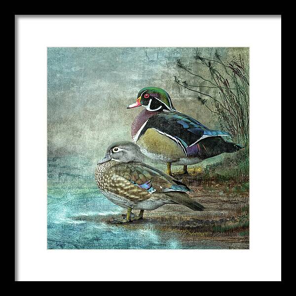Bird Framed Print featuring the digital art Wood Ducks by Merrilee Soberg