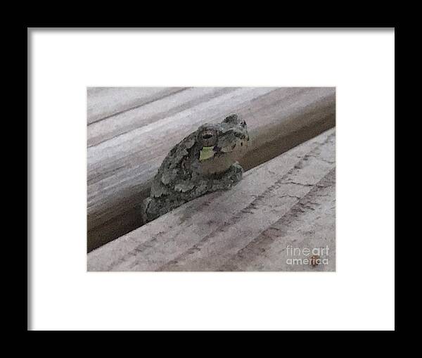 Wood Frog Framed Print featuring the photograph Back Porch Wood Frog Lateral by Mary Kobet