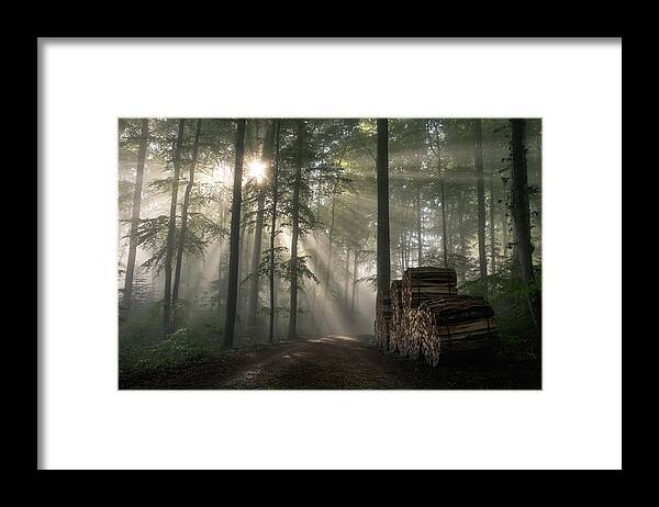 Scenics Framed Print featuring the photograph Wood Land by Matthias Gaberthüel