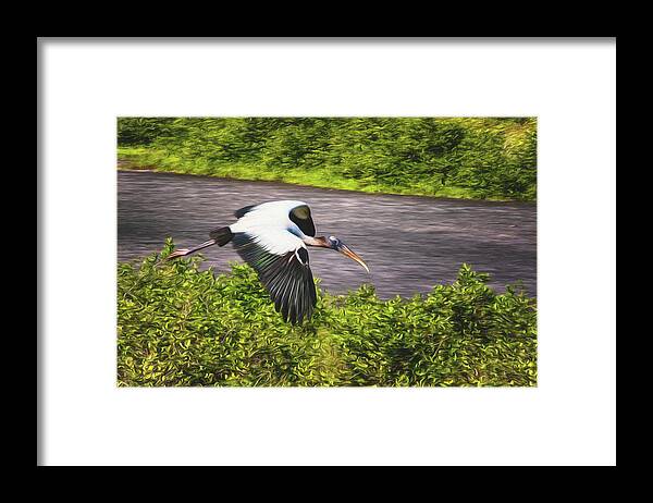  Yard Animals Framed Print featuring the photograph Wood Stork by Tom Singleton