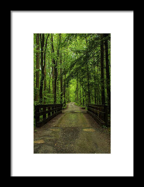 Great Smoky Mountains National Park Framed Print featuring the photograph Wooded Path by Melissa Southern
