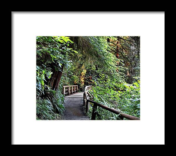 Alex Lyubar Framed Print featuring the photograph Wooden bridge on a firest hiking trail by Alex Lyubar