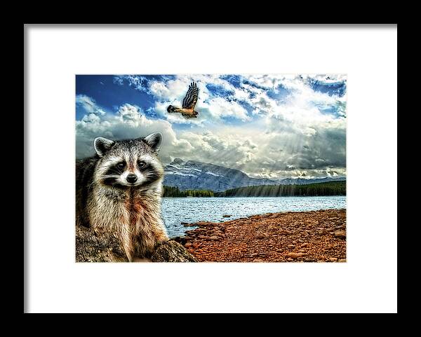 Woodland Creatures Framed Print featuring the photograph Woodland Creatures by Doreen Erhardt