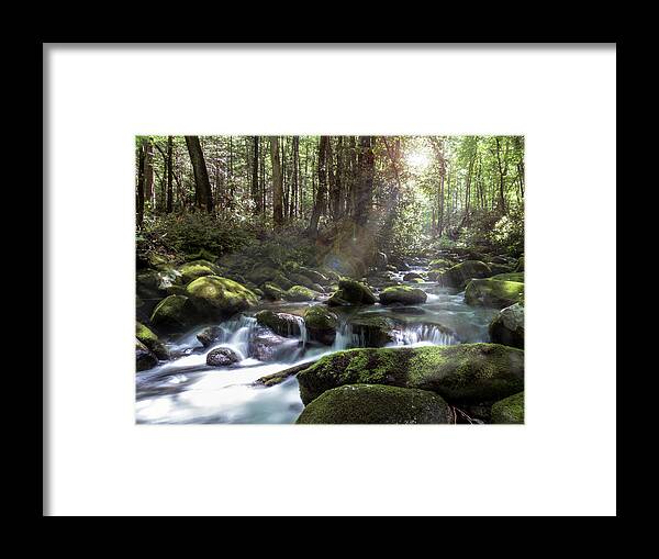 Gatlinburg Framed Print featuring the photograph Woodland Falls by Patti Deters