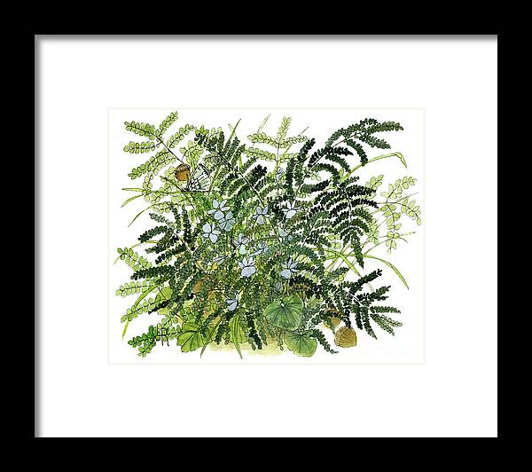 Art Framed Print featuring the painting Woodland Ferns with Butterfly and Violets by Laurie Rohner