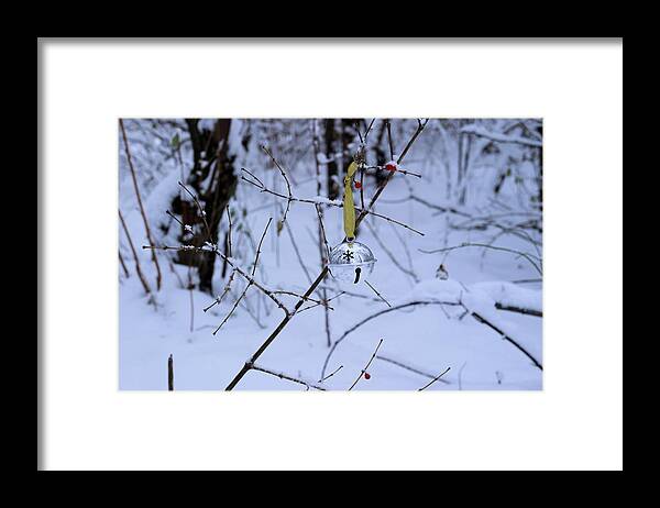 Winter Framed Print featuring the photograph Woodland Holiday by Scott Kingery