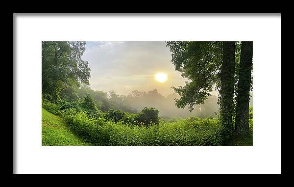 North Carolina Framed Print featuring the photograph Woodland by Laura Fasulo