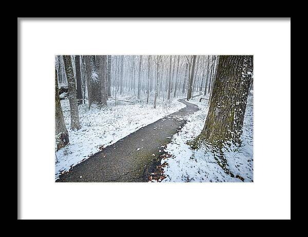 Snow Day Framed Print featuring the photograph Cold Winter Path by Jordan Hill