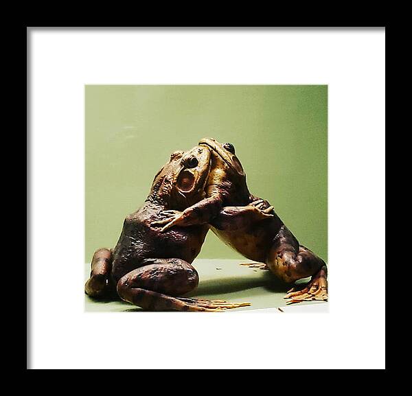 Hug Framed Print featuring the photograph Wrestling Hugging Frogs by Vicki Noble