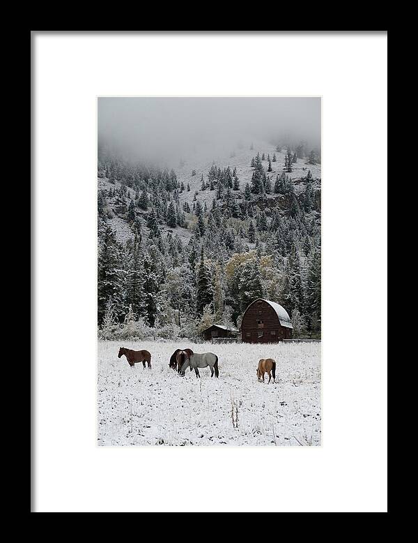 Ranch Framed Print featuring the photograph Wyoming Horse Ranch by Arthur Oleary