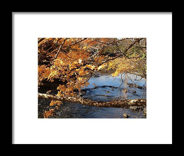 Haw River Framed Print featuring the photograph Yellow and Blue Fall in NC by Shirley Galbrecht
