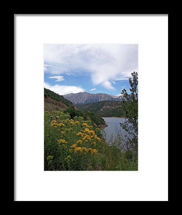 Usa Framed Print featuring the photograph Yellow Flowers by Jennifer Robin