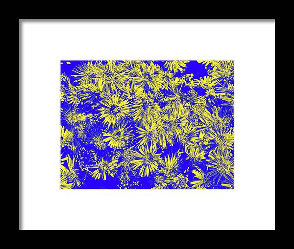 Pacific Northwest Framed Print featuring the digital art Yellow Flowers On Blue by David Desautel