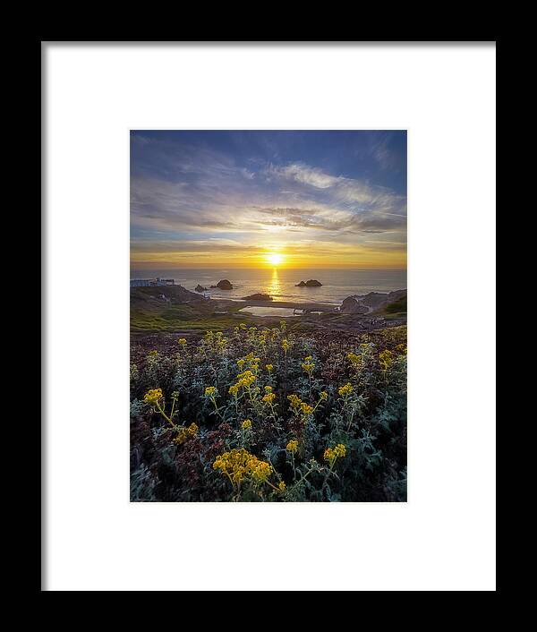 Spring Framed Print featuring the photograph Yellow by Louis Raphael