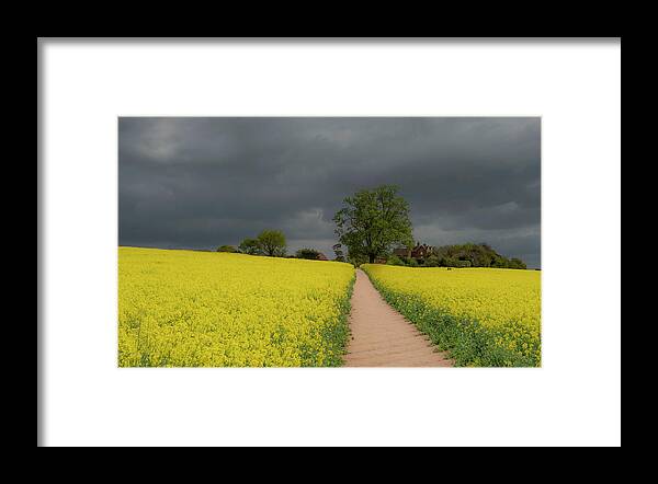 Landscape Framed Print featuring the photograph Yellow ocean 1 by Remigiusz MARCZAK