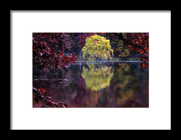 Lake Reflection Framed Print featuring the photograph Yellow Reflection by Tom Singleton