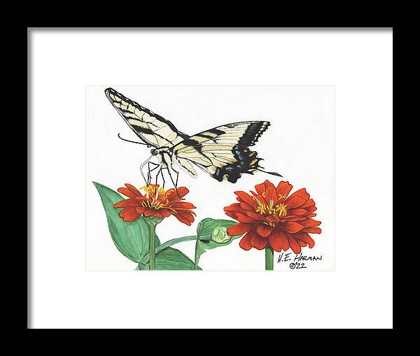 Yellow Tiger Swallowtail Framed Print featuring the painting Yellow Tiger by Heather E Harman